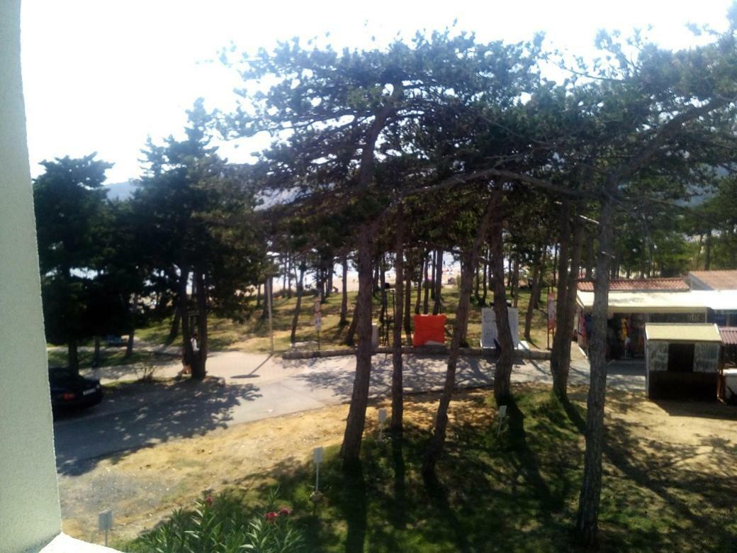 Apartmani Ivana ロパール エクステリア 写真