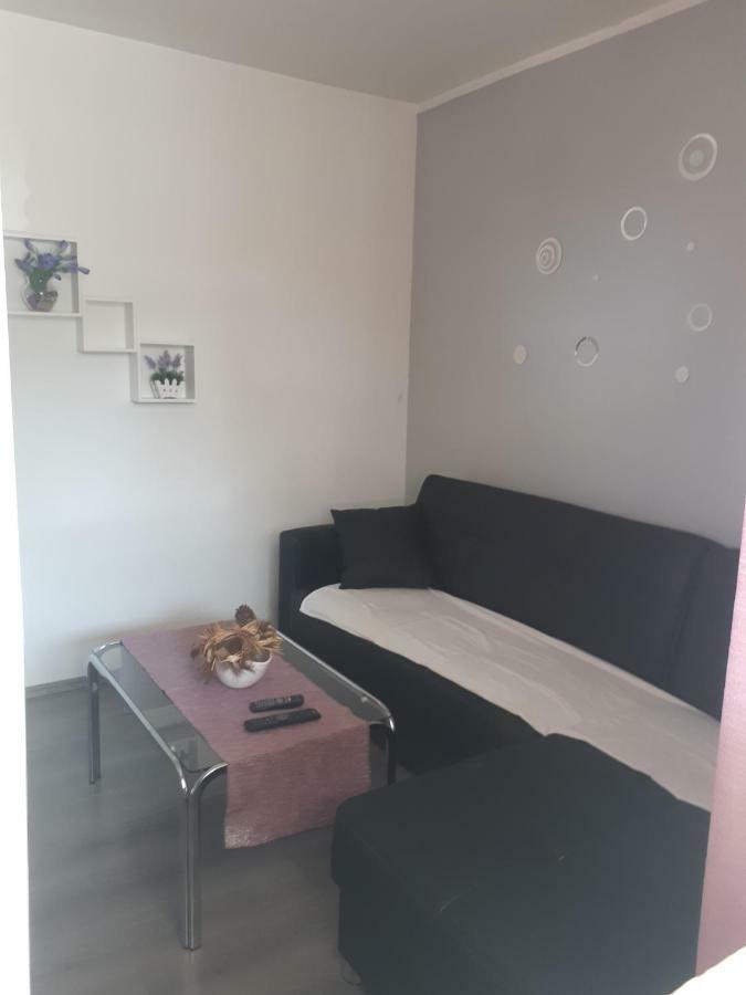 Apartmani Ivana ロパール エクステリア 写真
